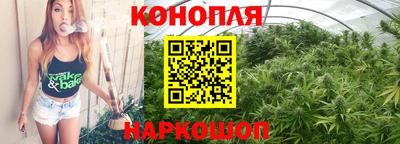 PSILOCYBIN Краснодар